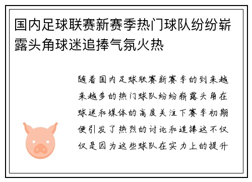 国内足球联赛新赛季热门球队纷纷崭露头角球迷追捧气氛火热