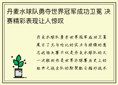 丹麦水球队勇夺世界冠军成功卫冕 决赛精彩表现让人惊叹