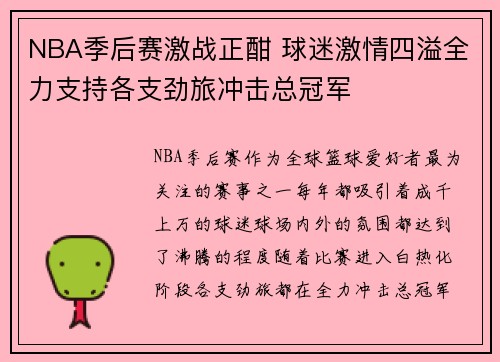 NBA季后赛激战正酣 球迷激情四溢全力支持各支劲旅冲击总冠军